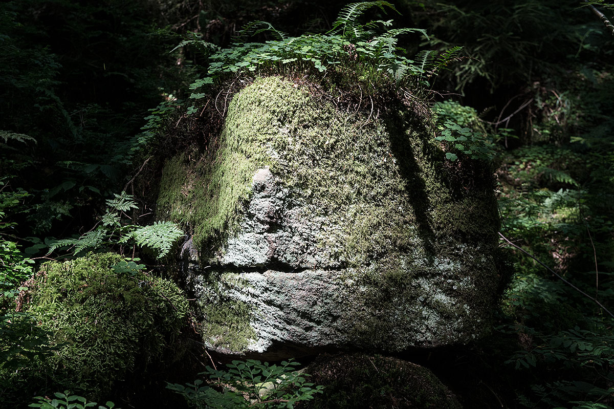 Wald04